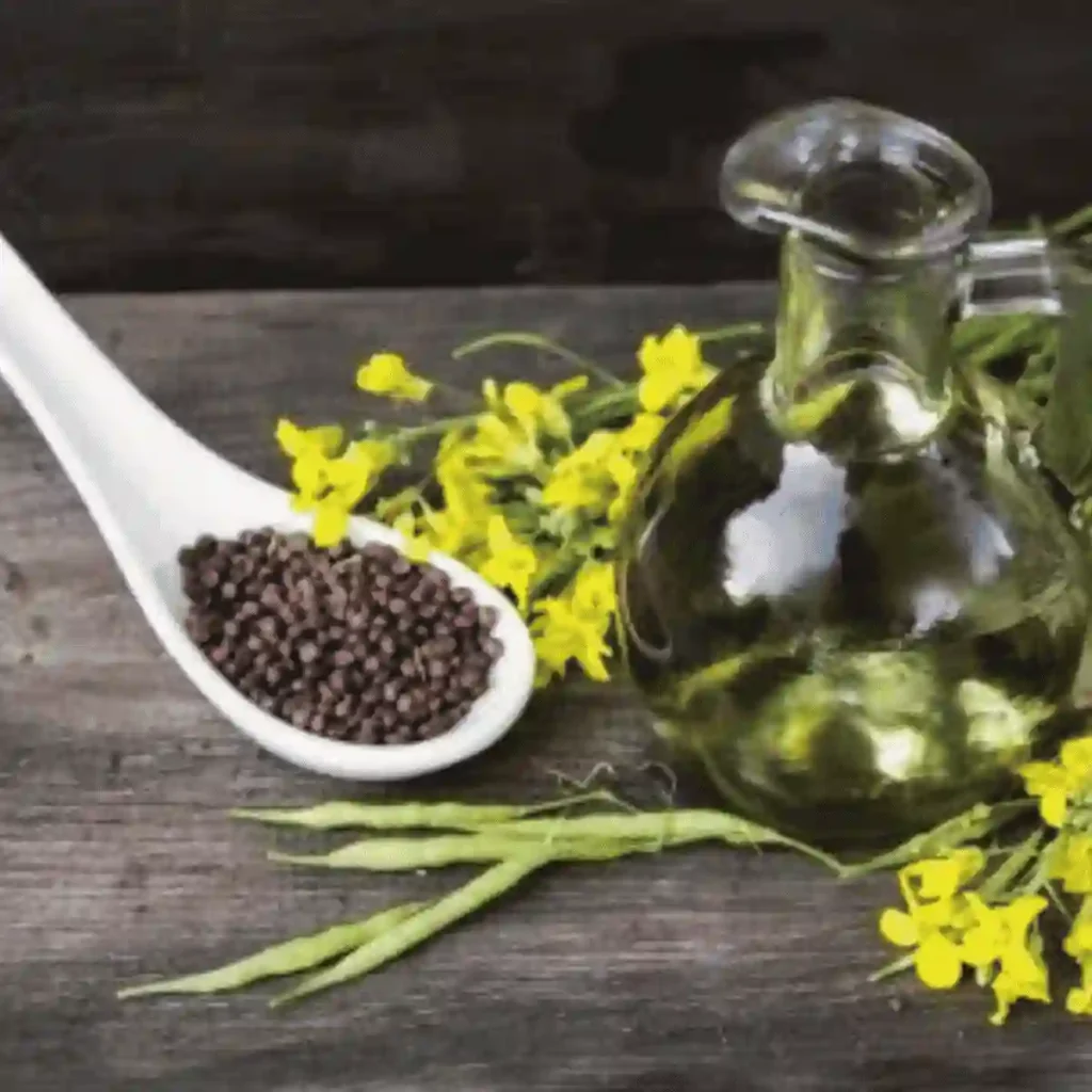 canola oil