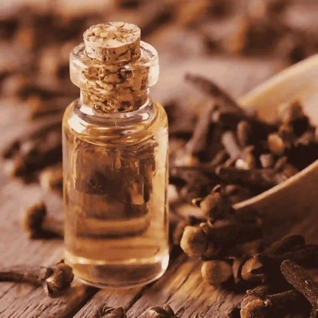 clove bud oil